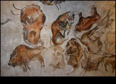 Bizon și dincolo de un tur vizual al animalelor în picturile rupestre preistorice