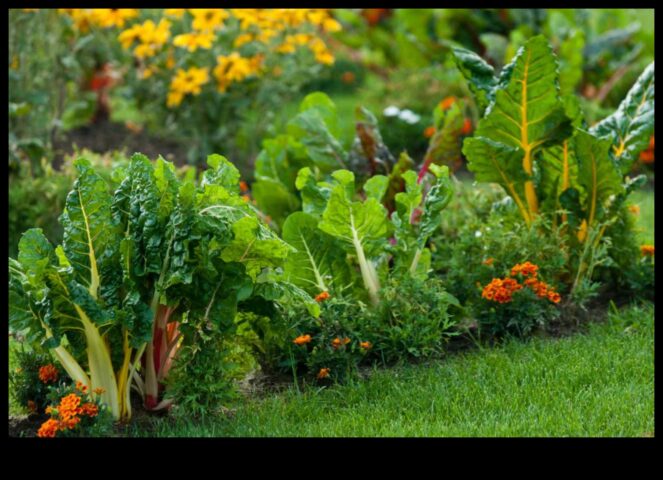 Crește o grădină frumoasă cu însoțitori florale